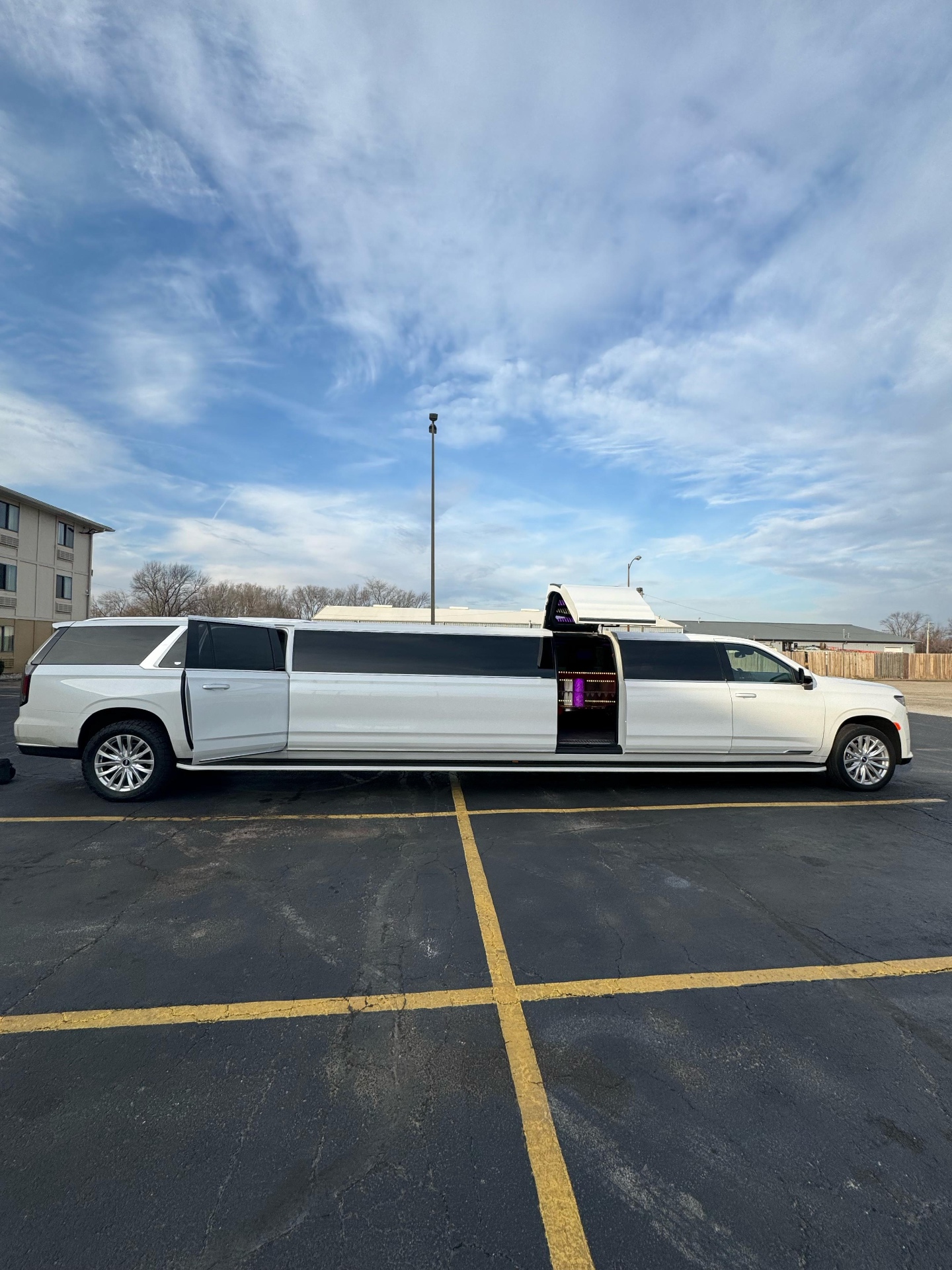 Stretch Limousine — photo 2 of 3